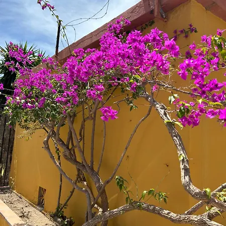 דירה Sunterrace Minerva בנאלמדנה